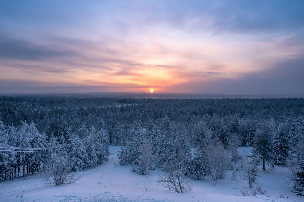 Forêt boréale enneigée s’étendant à perte de vue en Laponie, éclairée par un soleil hivernal bas sur l’horizon.