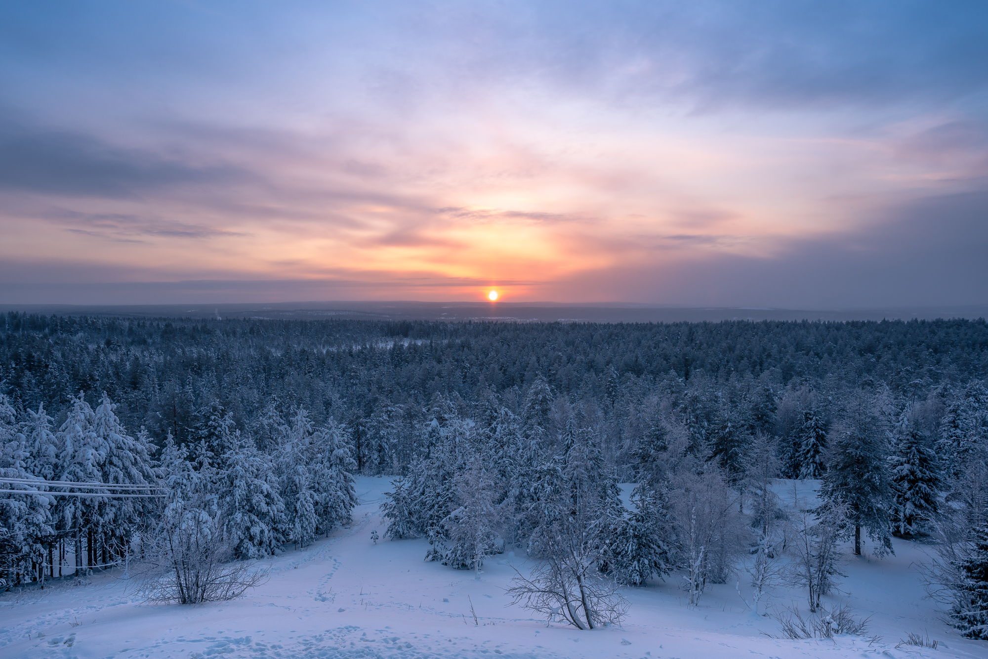 Forêt boréale enneigée s’étendant à perte de vue en Laponie, éclairée par un soleil hivernal bas sur l’horizon.